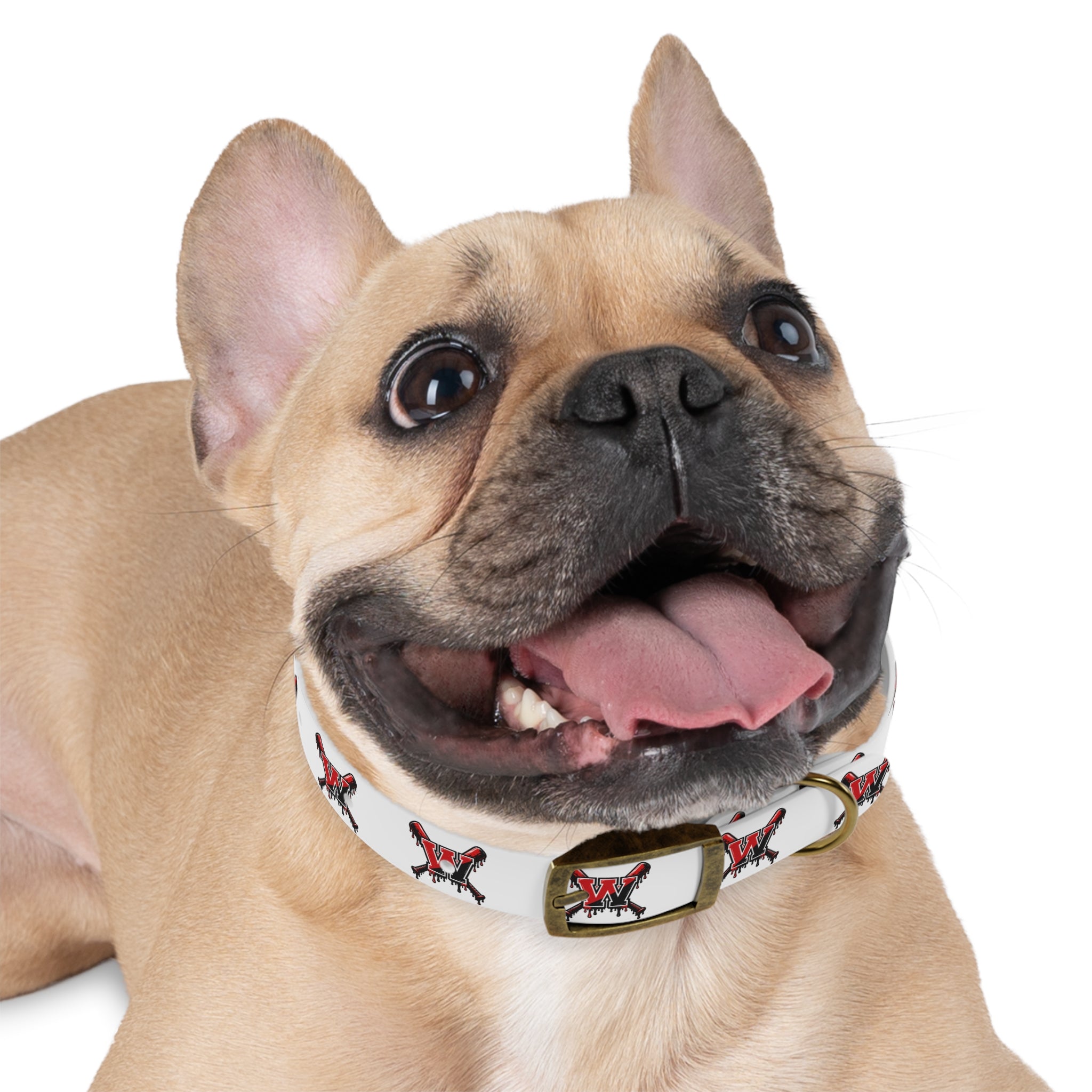Winchester Baseball Drip 'W' Dog Collar