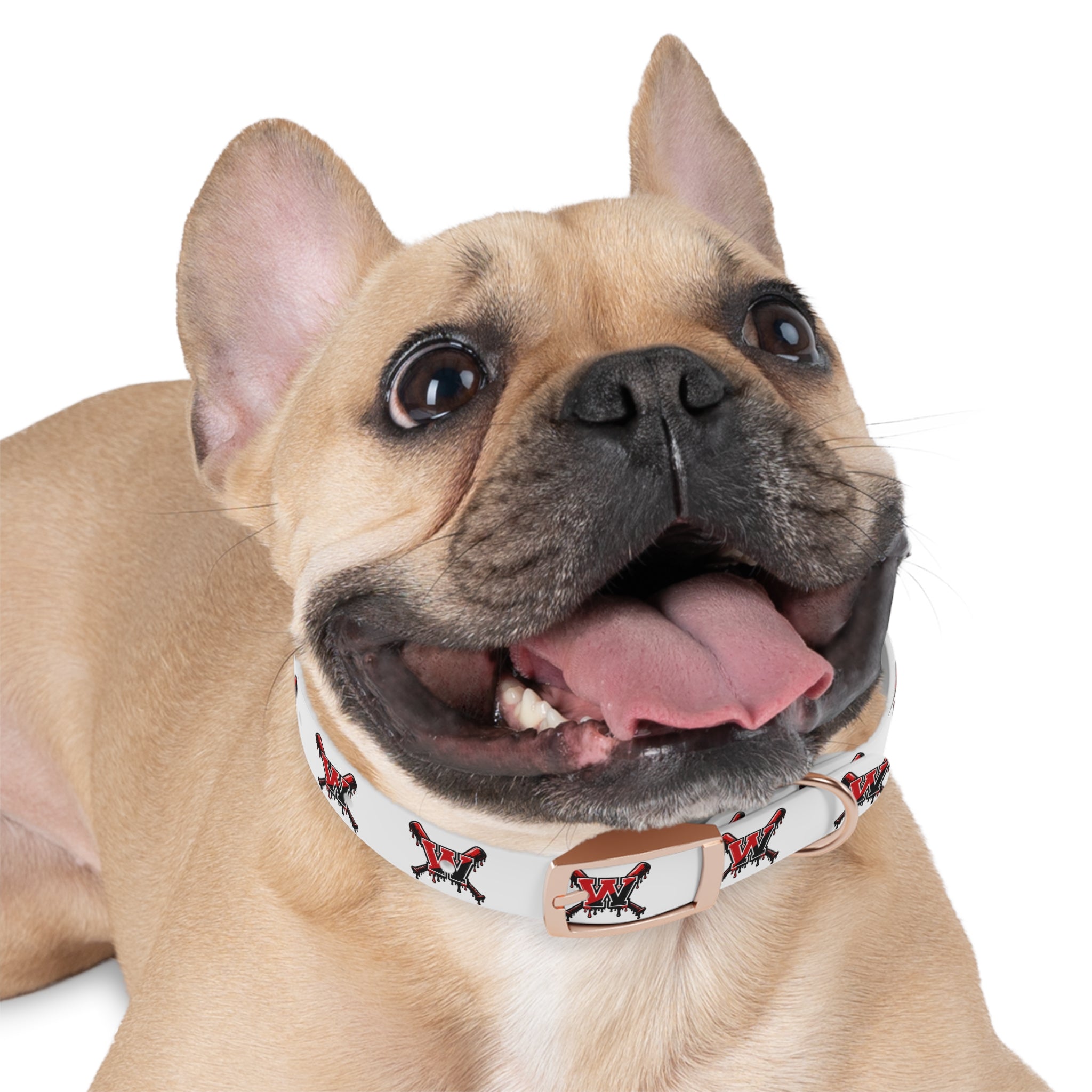 Winchester Baseball Drip 'W' Dog Collar